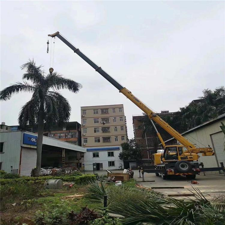 仁兴镇汽车吊出租多少钱？全面解析与市场行情